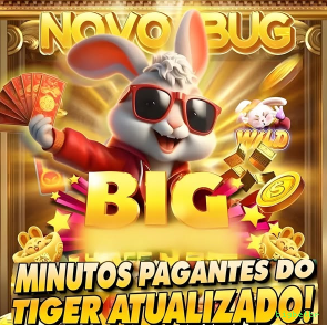 bigbetbr Plataforma
